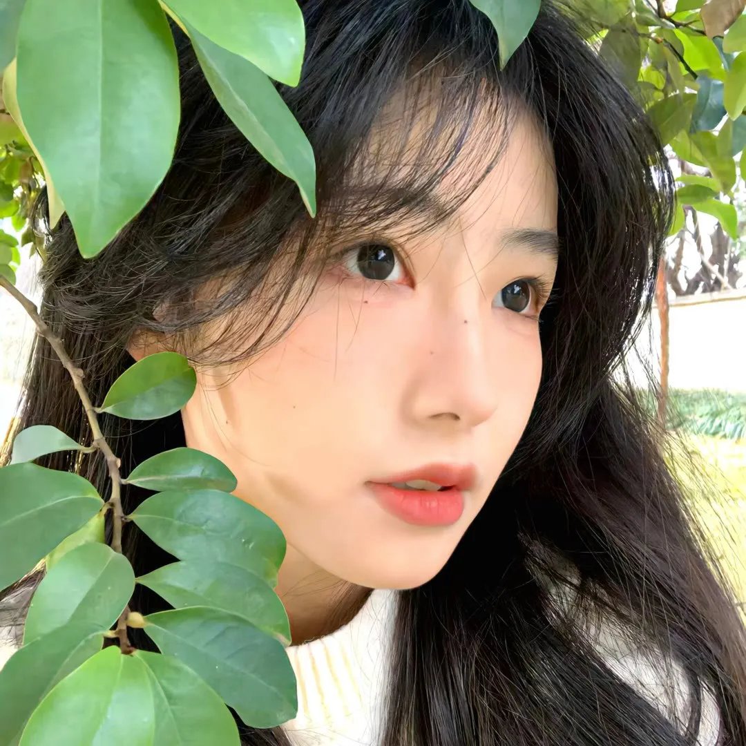 盗皇陵
